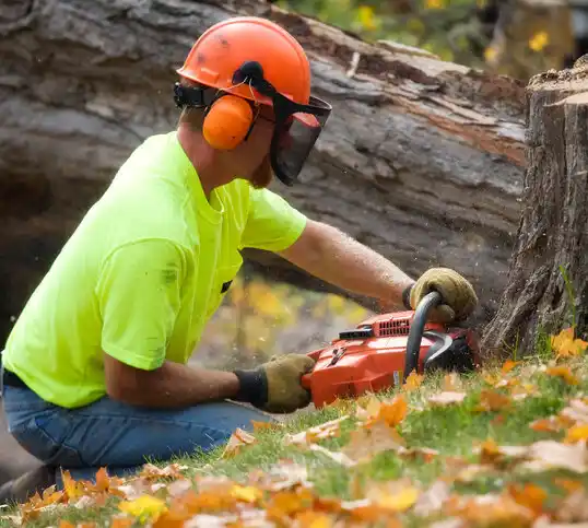 tree services Wrightsville Beach